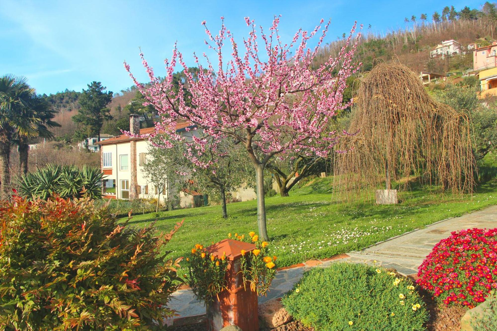 Casa Vacanze Ester Polverara Exterior photo